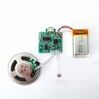 Soundmodul Lichtsensor+Akku USB